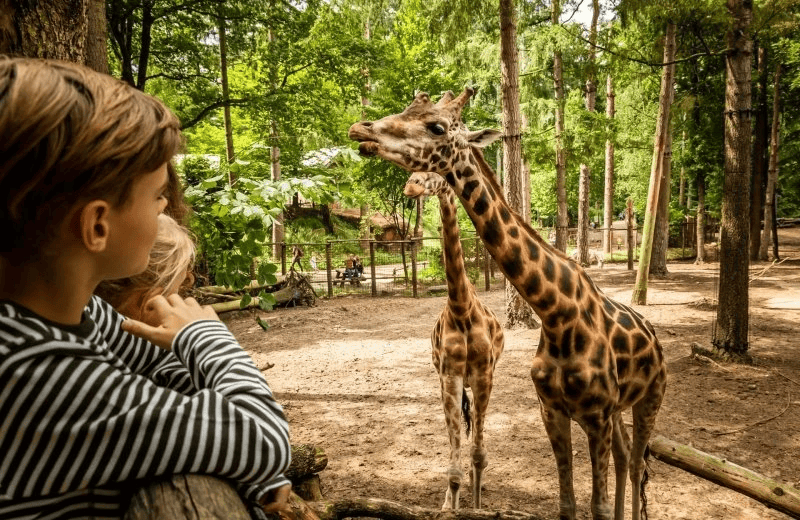 Dierenpark Amersfoort
