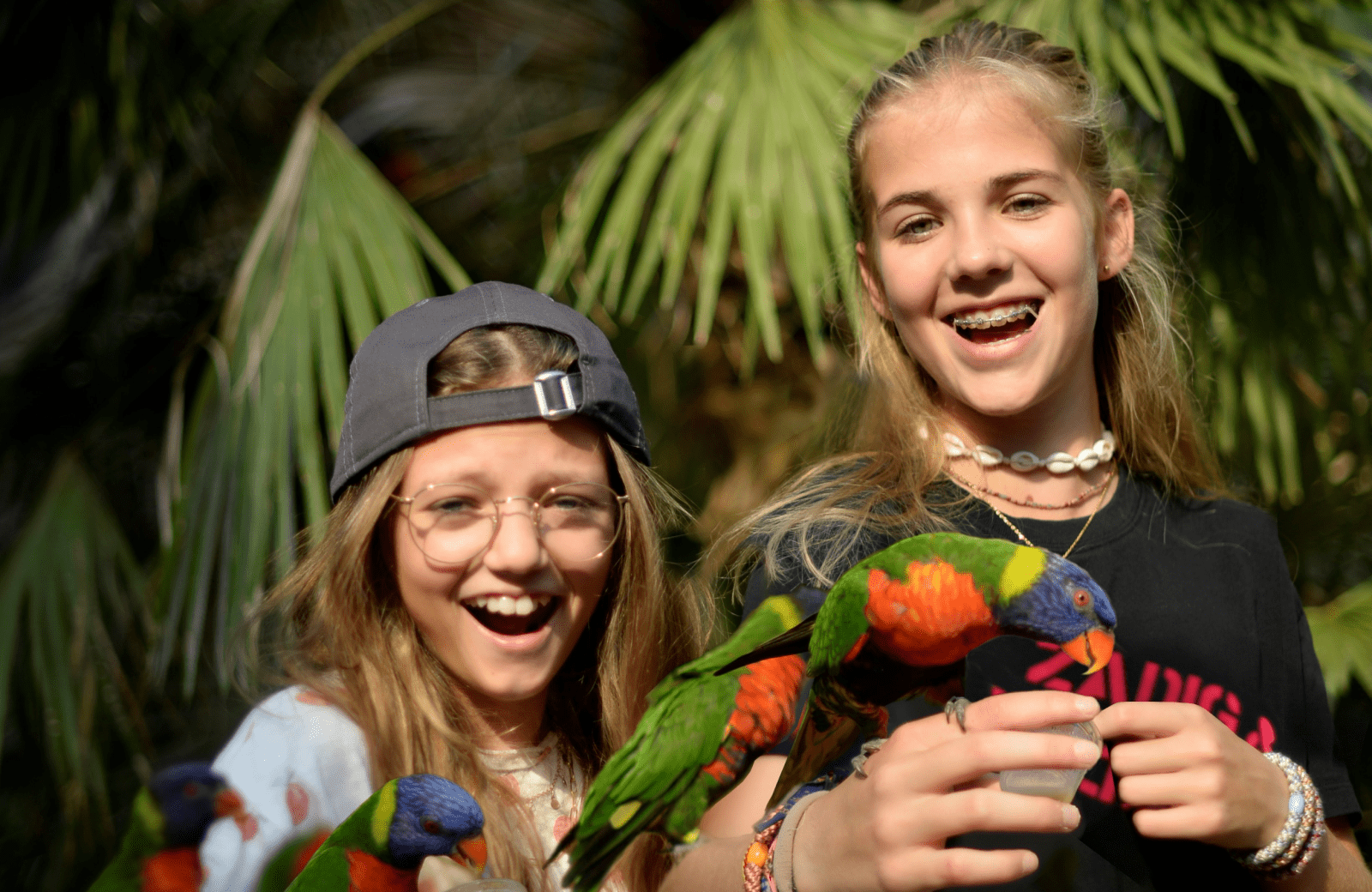 Avifauna promobeeld 1 2023 69aa915d0a550