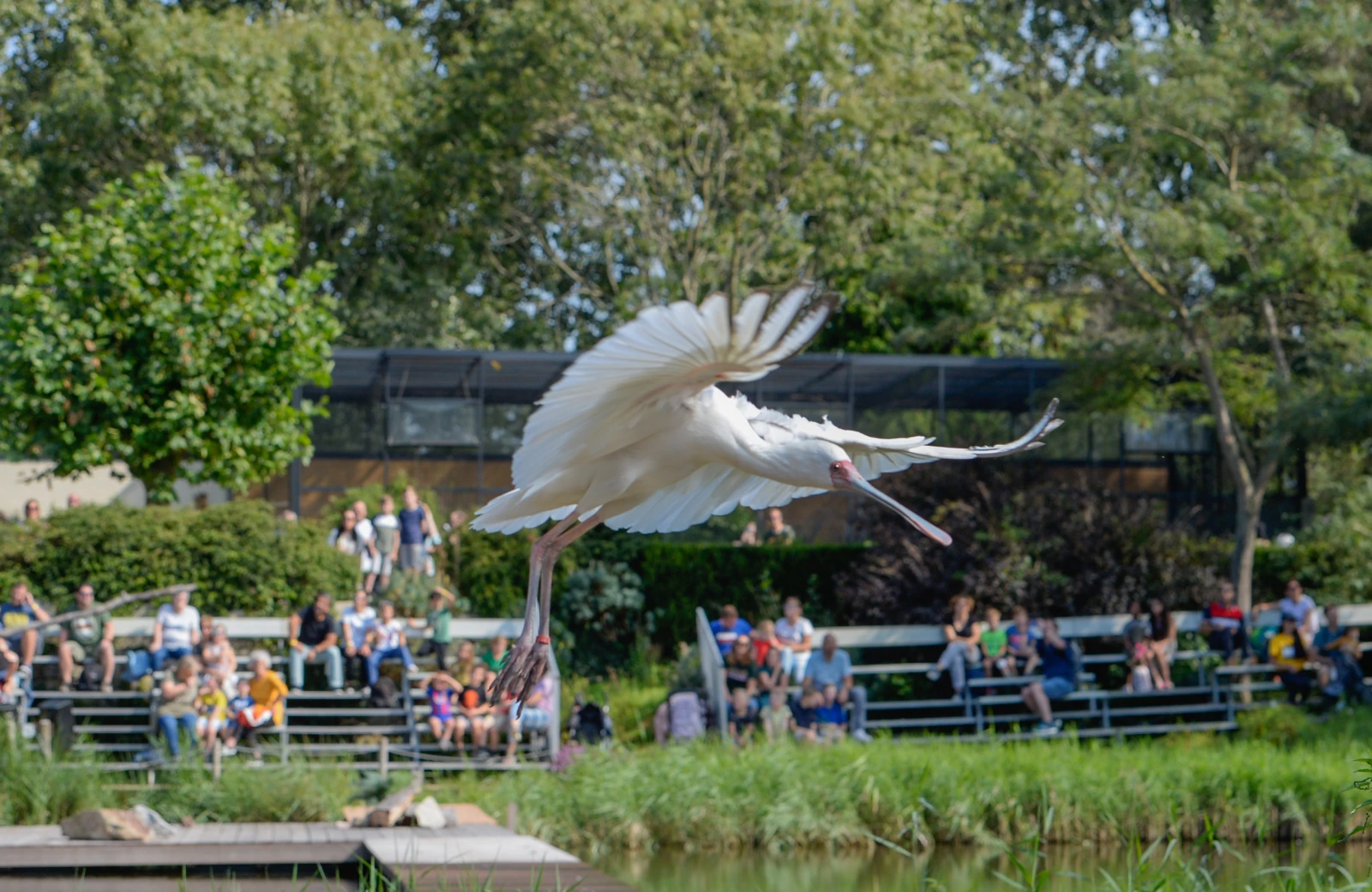 Avifauna promobeeld 2 2023