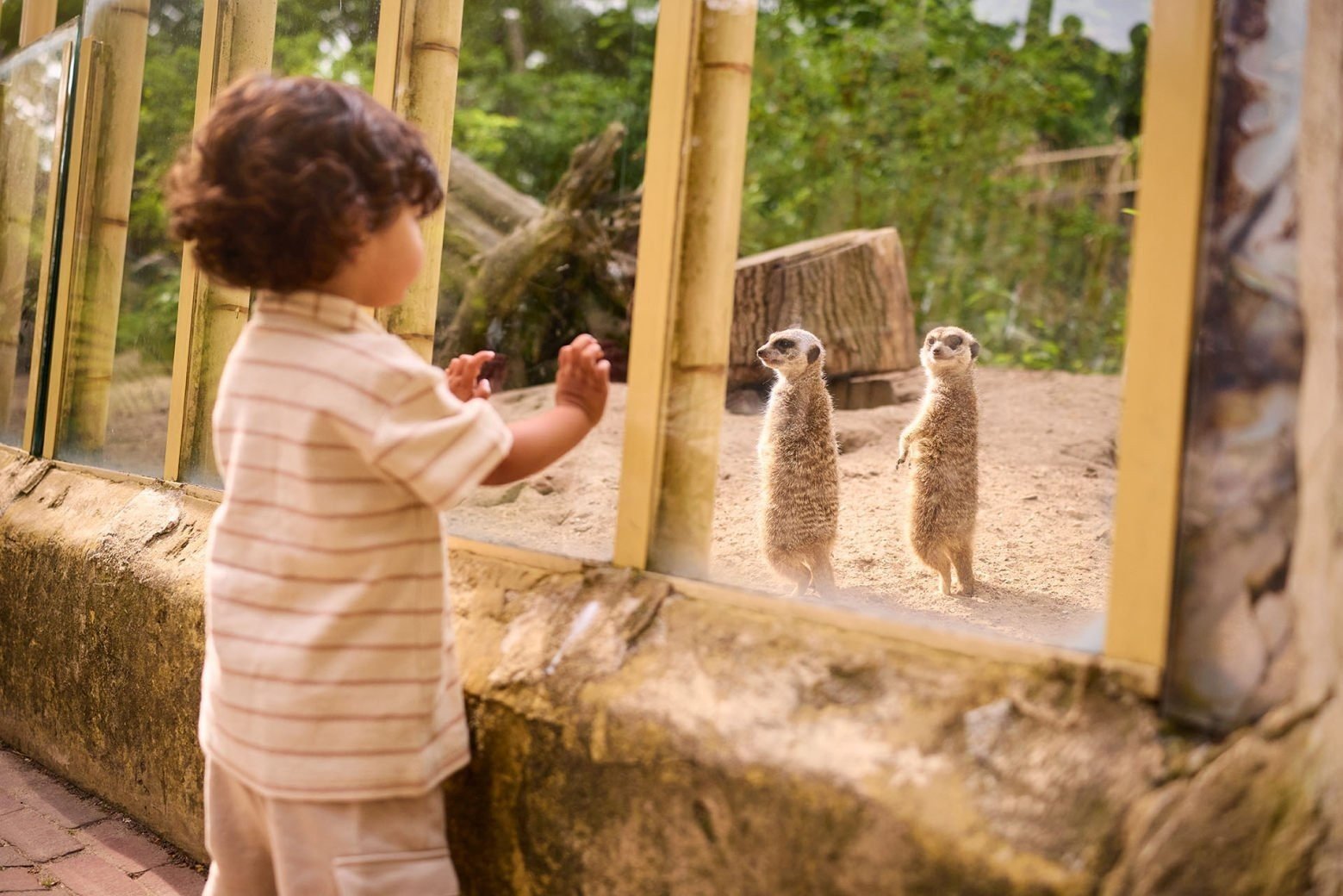 Ouwehandsdierenpark z5a7010