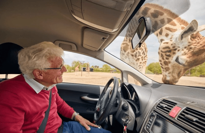 Safaripark Beekse Bergen