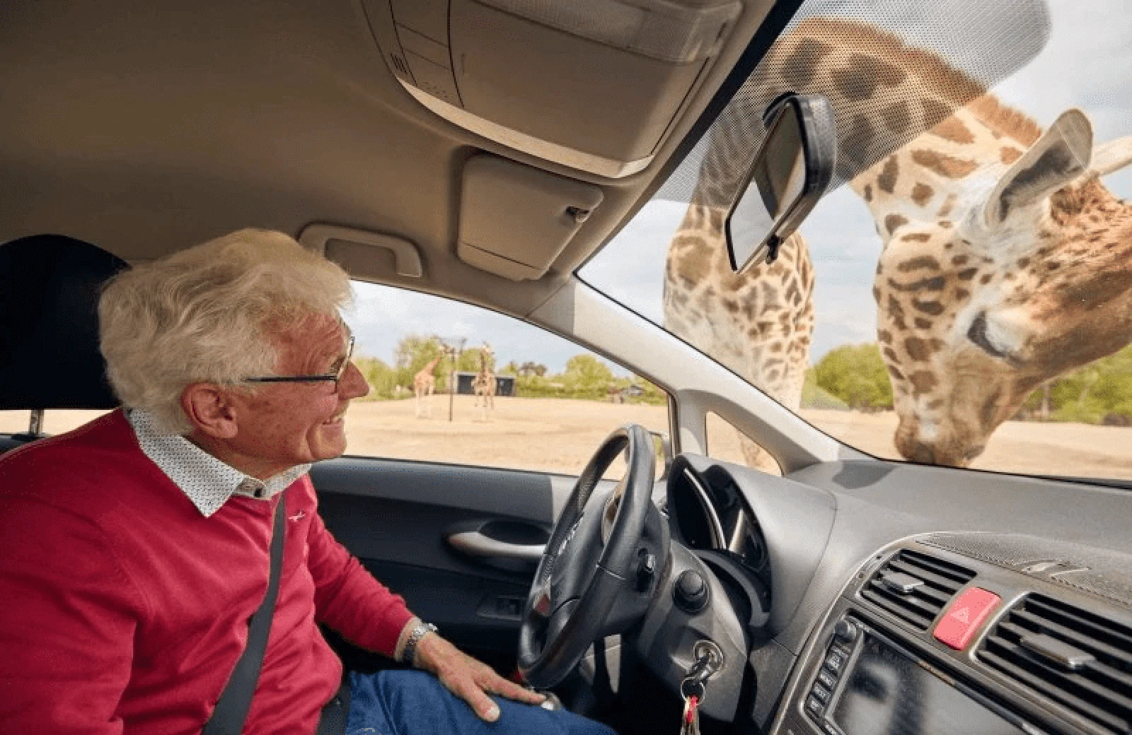 Safaripark autosafari